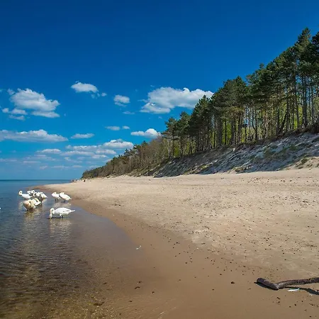 Dworek Morski & Wellness Отель типа 