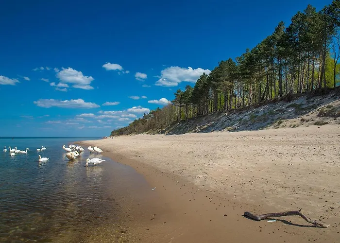 Dworek Morski & Wellness 住宿加早餐酒店