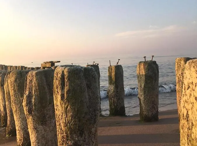 Dworek Morski & Wellness Bed and breakfast 4*